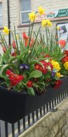 Fower Box-20070712